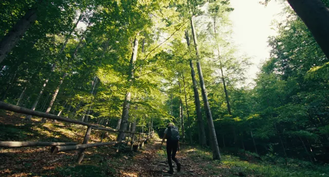 Gościnni z natury BTS frame 2