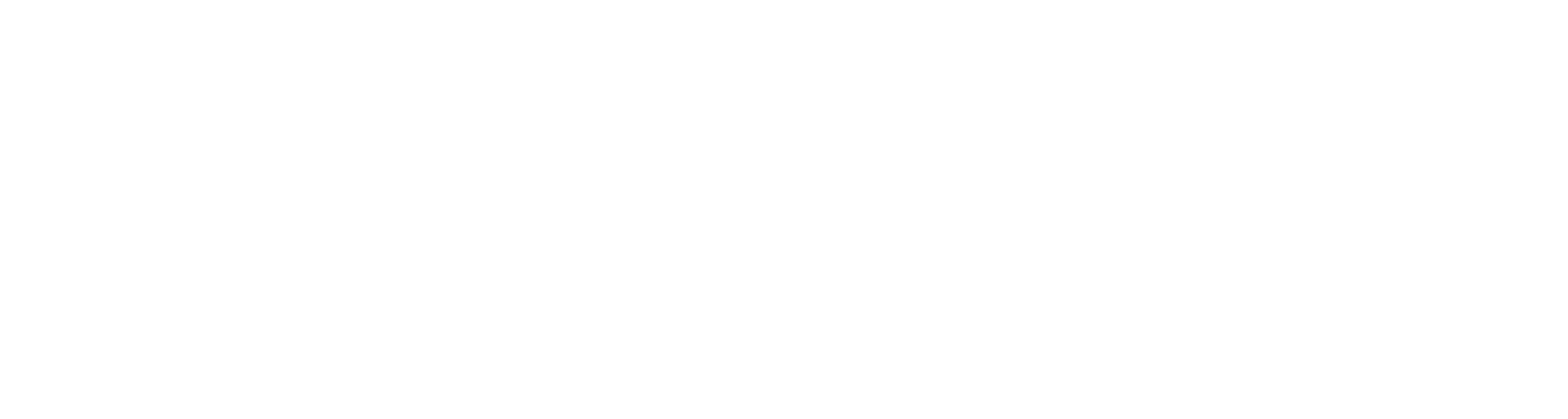 CIONET